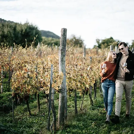 בית נופש Somlove