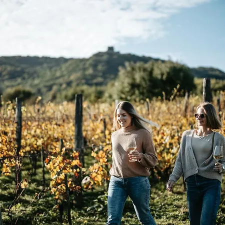 Somlove בית נופש