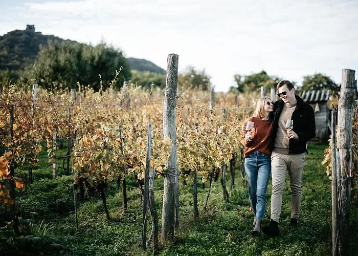 בית נופש Somlove