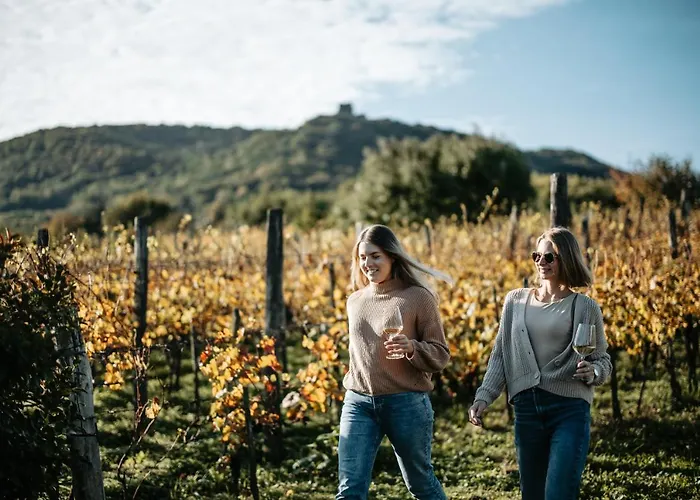 Somlove בית נופש